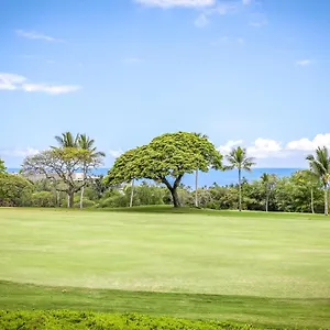  Apartment Beautiful 2/2 In Kona. Ocean View!